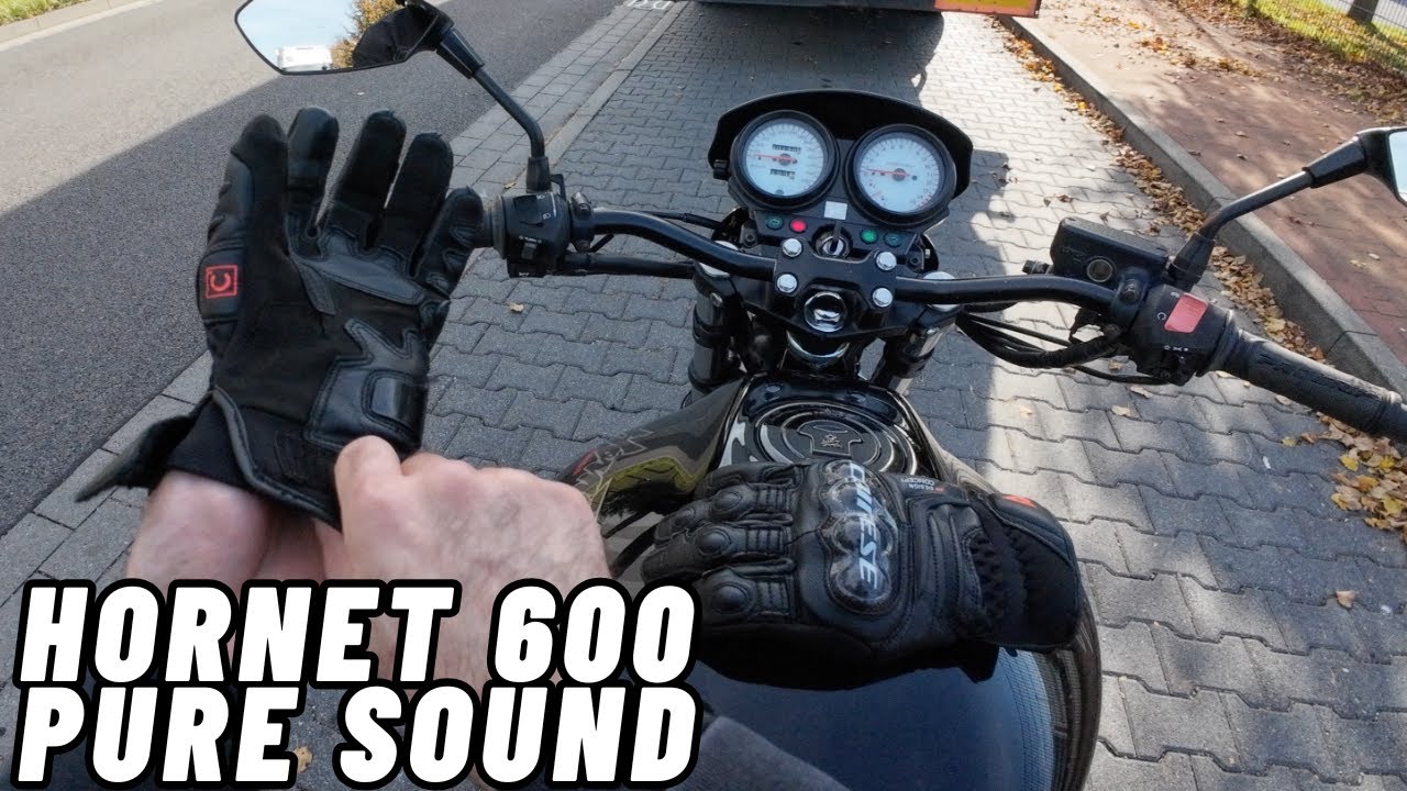 PURE SOUND - Hornet 600