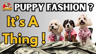 Puppy Fashion Is An Actual Thing ?