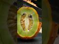 &quot;Cutting Kiwano 🟢🟠 | Horned Melon ASMR in Ultra HD&quot; #fruit #asmr #satisfying #shorts #shortsviral