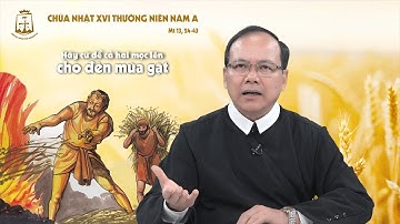 Lời Chúa - Chúa Nhật XVI Thường Niên Năm A 23/07/2023