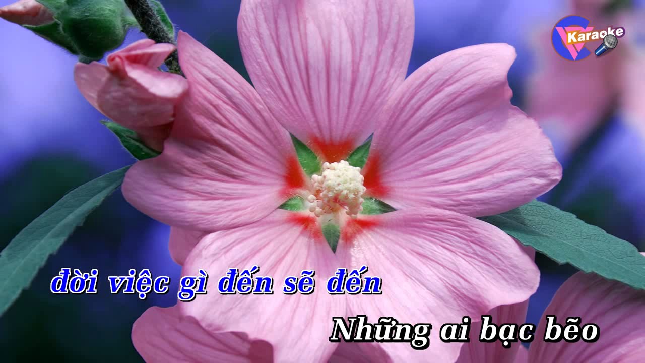 SAU LE BONG karaoke HD