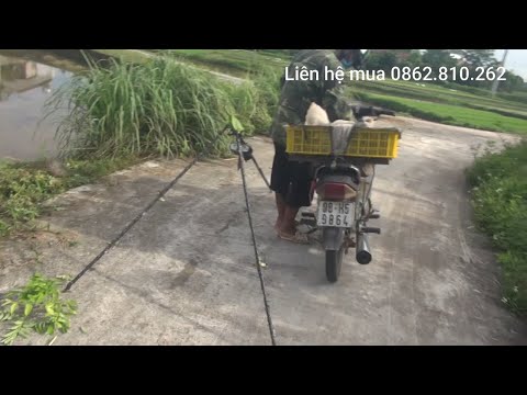 Video Bẫy chim khuyên bằng keo/ Cách đánh mới kinh tê cao - youtube