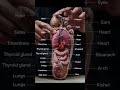 Your Foot Reveals Your Whole Body 😲 | Reflexology Explained | Healthy Hona Zaroori Hai