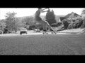 Flatspot longboard shop contest entry