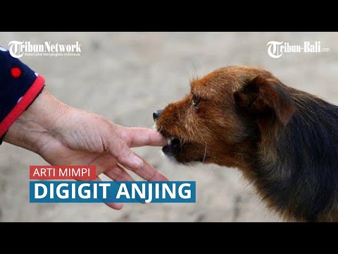 Ini Arti Mimpi Digigit Anjing, Mengalami Gangguan Kesehatan hingga Masalah yang Sangat Pelik