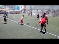 ZORROS VS POTROS