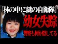 【未解決】わずか25分間…金子恵理ちゃん行方不明事件【ゆっくり解説】
