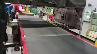 Fast, smooth, accurate parcel sorting with our balance wheel sorter for modern warehouses.