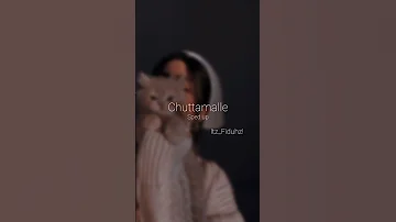 Chuttamalle Sped Up Itz Fiduhz 