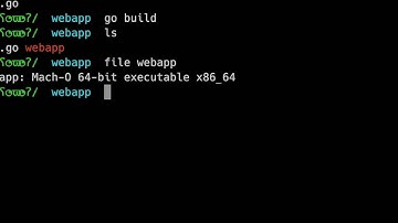 Cross Compilation in Go