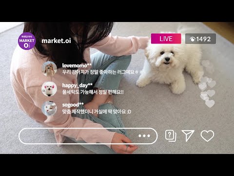집사와 반려동물 모두를 위한 오아이펫러그