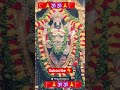 #govinda #venkateshwara #tirupati #tirupathibalaji #ttd #tirumala #yt #devotionalhits #shorts #viral
