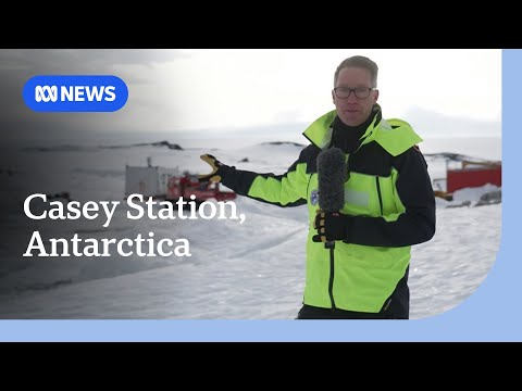 What is life like on Australia's Casey Station in Antarctica? | ABC NEWS