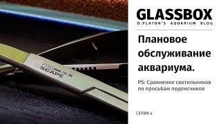 4 / Плановое обслуживание аквариума. Сравнение светильников 4 / Плановое обслуживание аквариума. Сравнение светильников