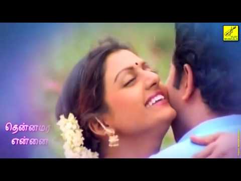 THENNAMARA THOPPUKKULLE  THERKU THERU MACHAN  LYRICS VIDEO  S JANAKI  VIJAY MUSICALS