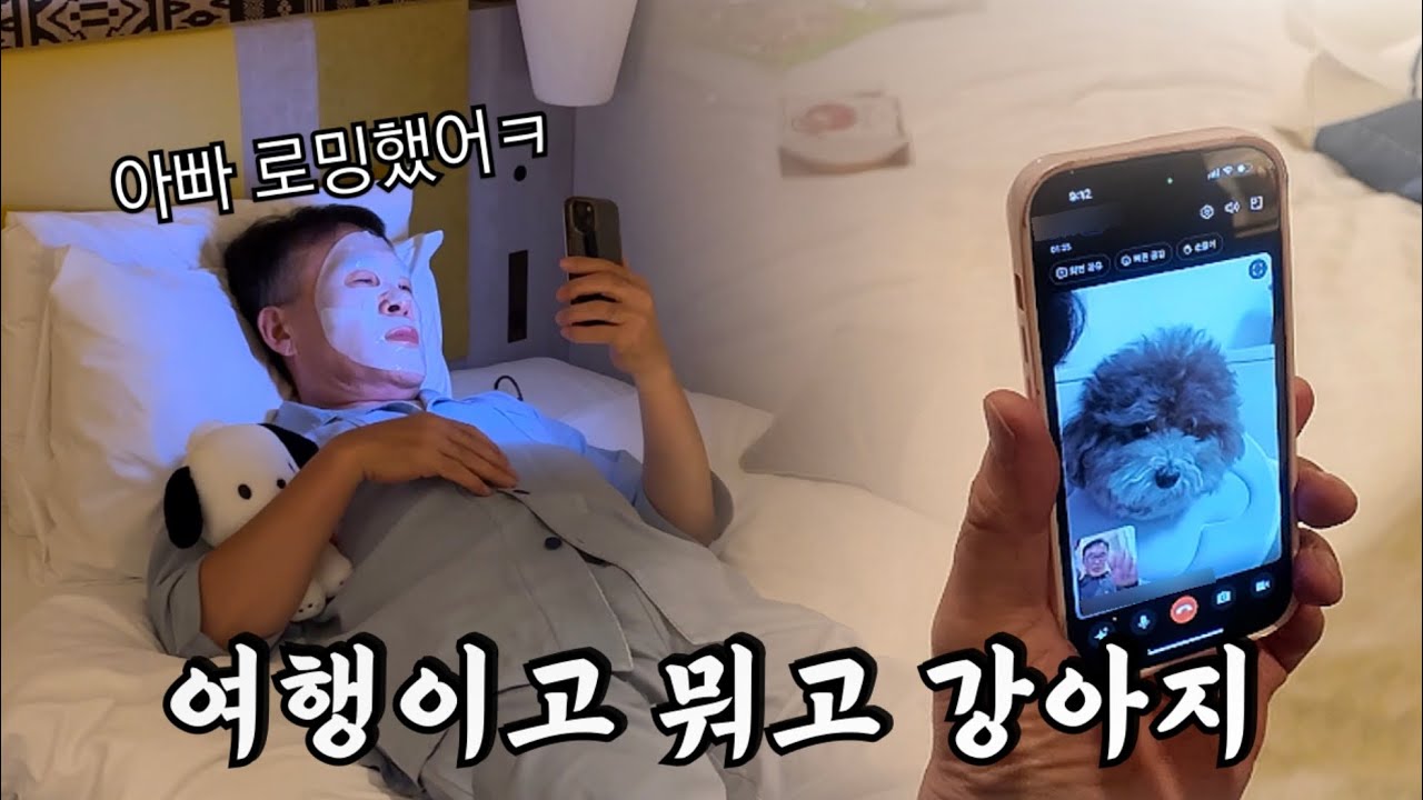 강아지가 보고싶어 해외에서 시름시름 앓는 아빠ㅋㅋㅋㅋ