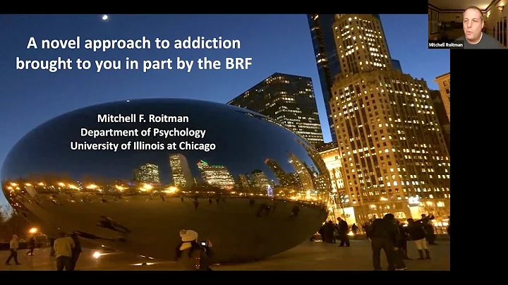 BRF Lecture Series featuring Dr. Mitch Roitman