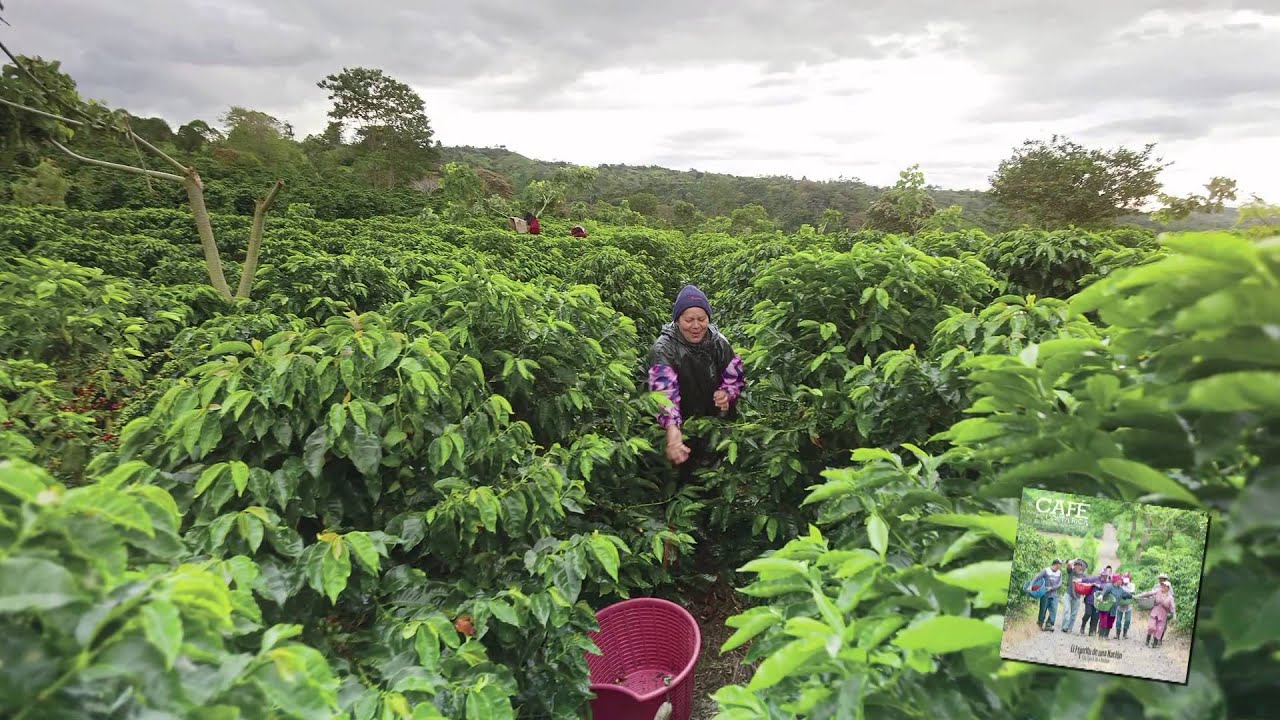 Booktrailer "Café de Costa Rica" YouTube