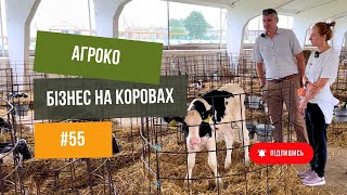 #55 ВРХ🐄 Як працює коров’яча ферма 🚜Комбікормовий завод, корови та телята 🐮