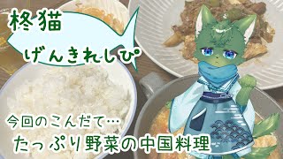 【お料理】柊猫げんきれしぴ＃10（ケモノ系VTuber）