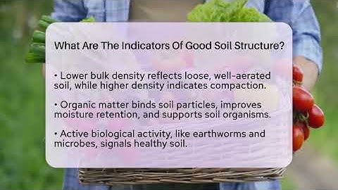 What Are The Indicators Of Good Soil Structure? - The Plant Enthusiast