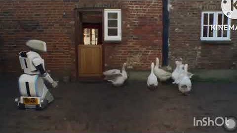 BRIAN The Robot acts out a catchphrase with a flock of geese - Confused.com