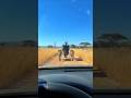 cactus_man!_screams_and_runs_#horror_#shorts#cactusmanvsloin_#cactusman_#musically_#foruyou_#ai