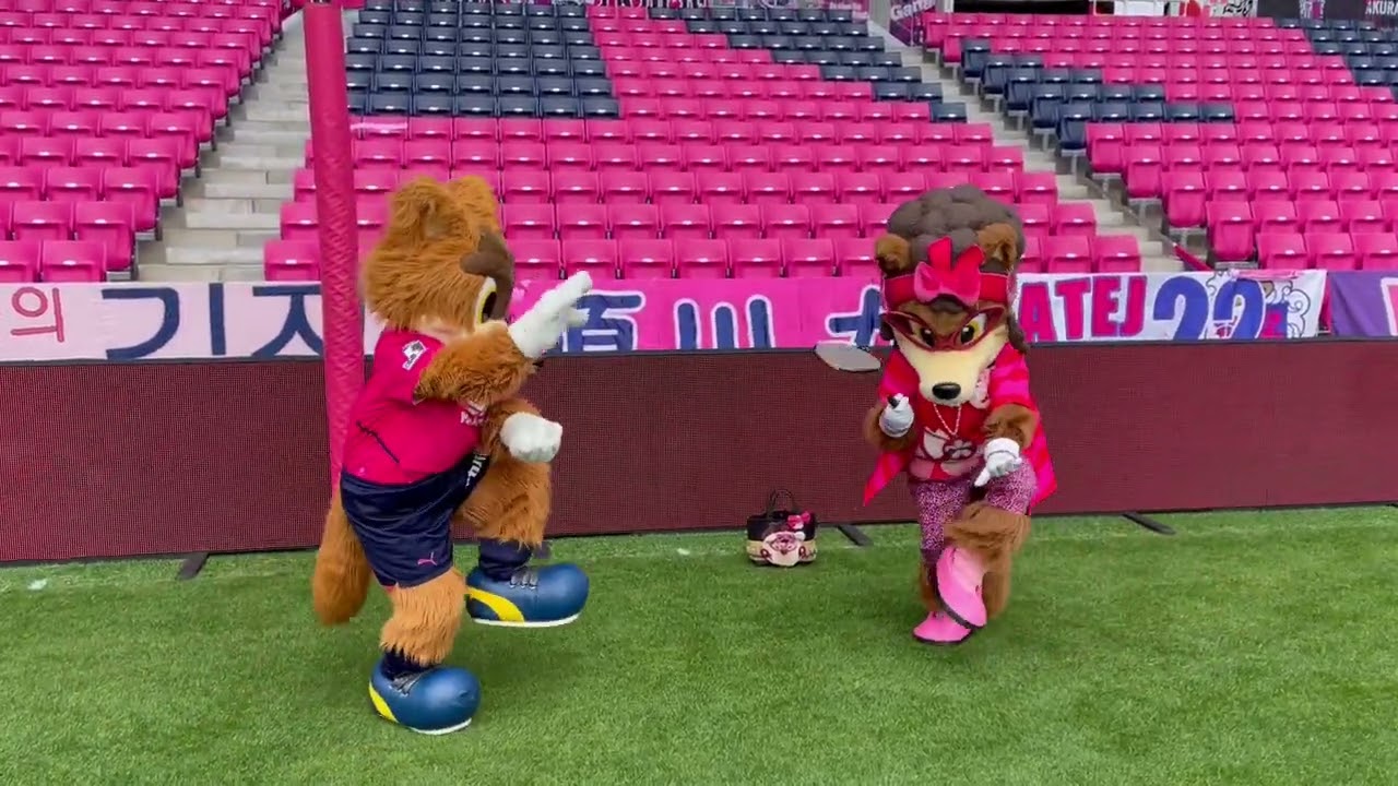 Jリーグのマスコット界きっての 母子 由緒正しき家柄の息子と大阪のおばちゃんキャラ セレッソ大阪 ロビー マダムロビーナ Youtube