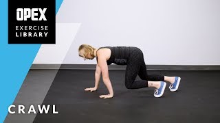 Celebrity Crawl - OPEX Exercise Library Profile