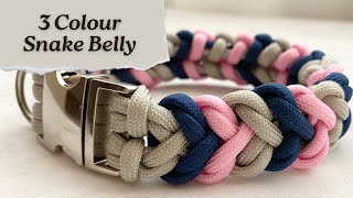 March Braid of the Month | 3-Colour Snake Belly Paracord Collar Tutorial by D.I.Y Pet Accessories 686 views 1 month ago 16 minutes