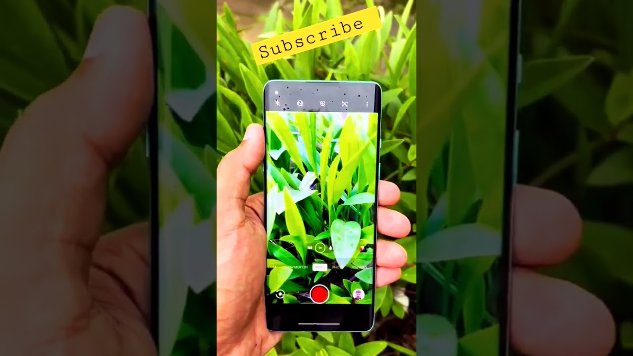 April 5, OnePlus 8 Camera Test 😱 And Unboxing 🔥 Price 