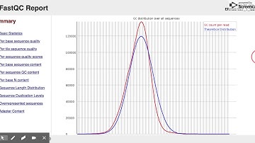 7 - Understanding the output of FastQC