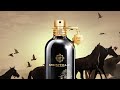 أفضل عطر عود من دار عطور مونتال نظرة على عطور مونتال الجزء الأول