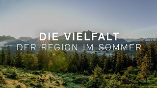 Die Vielfalt der Region Seefeld im Sommer