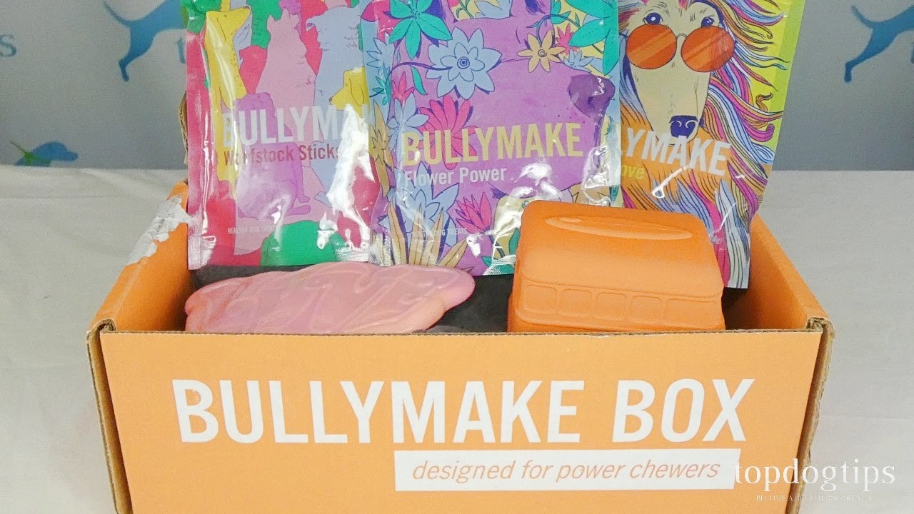 1 Month Subscription - Bullymake Box - A Dog Subscription Box For