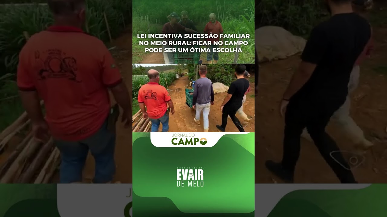 ✍🏽 Uma nova lei quer fortalecer a sucessão familiar no campo
