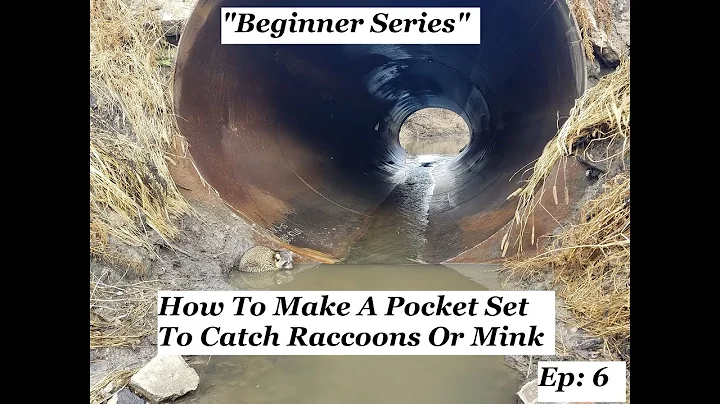 How To Make A Pocket Set To Catch Raccoons Or Mink | "Beginner Series | Ep. 6