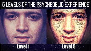 The 5 Levels of Perception of the Psychedelic Experience