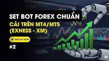Set Bot Forex Chuẩn Không Cần Chỉnh #2 – Cách Cài Cho MT4/MT5 (Exness & XM)