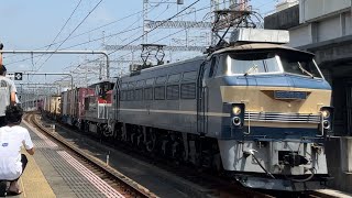 ニーナまさかの復活‼︎ EF66-27＋ﾑﾄﾞDE10-1563＋コキ　神戸タにて