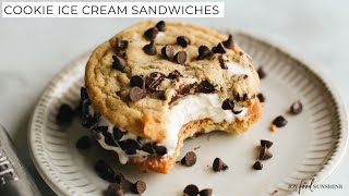 Chocolate Chip Cookie Dough Ice Cream Recipe - JoyFoodSunshine
