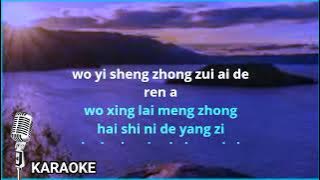 Zuo ni de ai ren - Female - karaoke no vokal ( Huang jia jia ) cover to lyrics pinyin