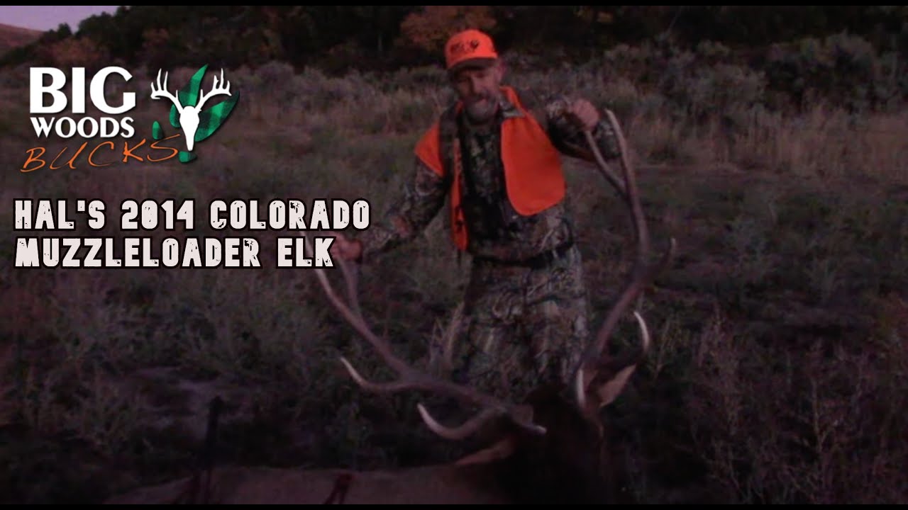 Hal Blood's 2014 Colorado Muzzleloader Elk | Big Woods Bucks - YouTube