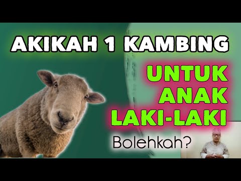 Jumlah Kambing Buat Aqiqah Anak Perempuan