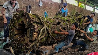 Seconds From Disaster Cutting a Giant Trembesi Log in an Extreme Sawmill