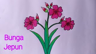 Mewarnai Bunga Kenanga Gambar Mewarnai Hd