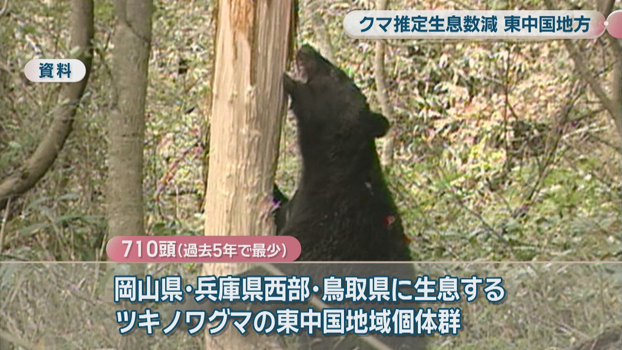 ツキノワグマの推定生息数が過去5年で最少 岡山県は狩猟自粛を要請する