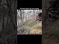 Solo Motorcycle Survival: Building a Shelter Over Water 🌊🏍️ #asmr #bushcraft #silentadventurer
