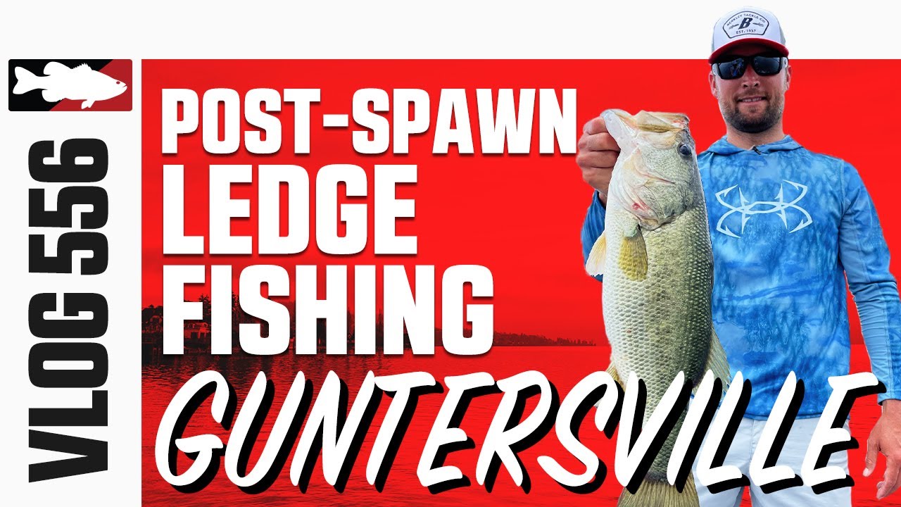 Video Vault - Post Spawn Ledge Fishing Lake Guntersville with Lucas