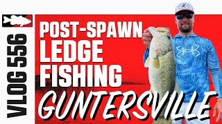 Post Spawn Ledge Fishing on Lake Guntersville with Justin Lucas - VLOG#556